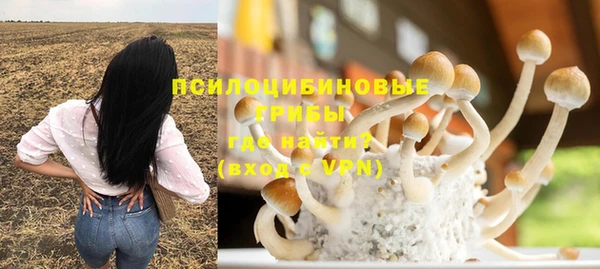 дурь Богородск